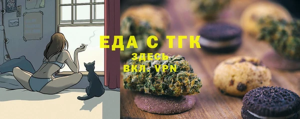 спиды Медногорск